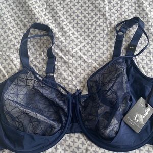 Ashley graham bra size 40H